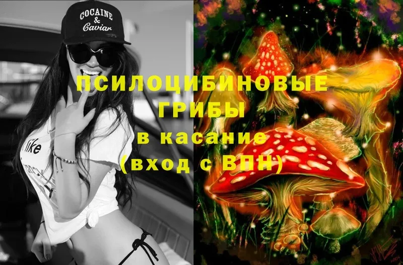 цены   Гаджиево  Галлюциногенные грибы Magic Shrooms 